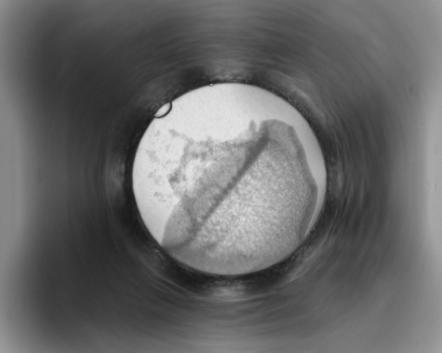 X0000093520263200711091745