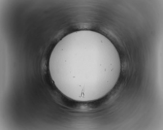 X0000093520264200711091745