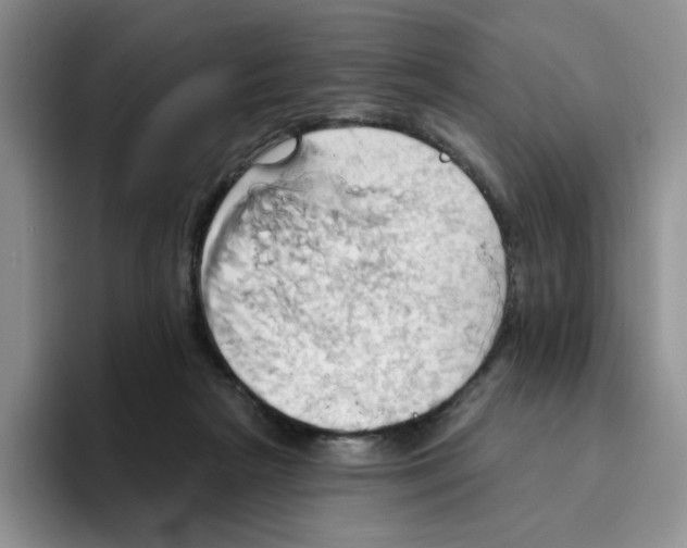 X0000093520265200711091745