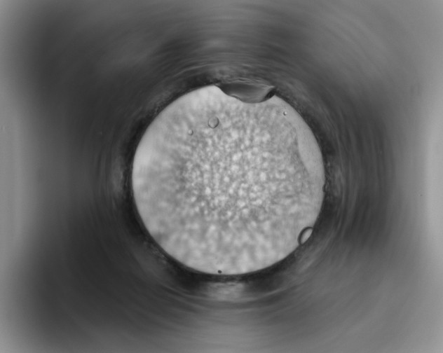 X0000093520266200711091745