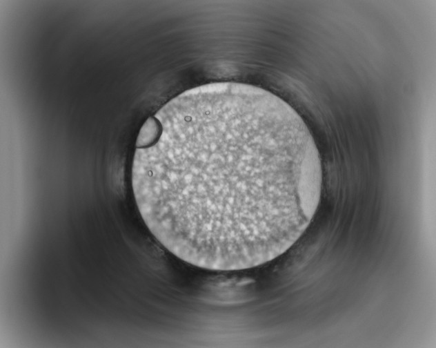 X0000093520267200711091745