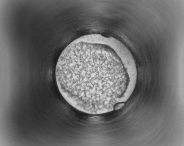 X0000093520269200711091745