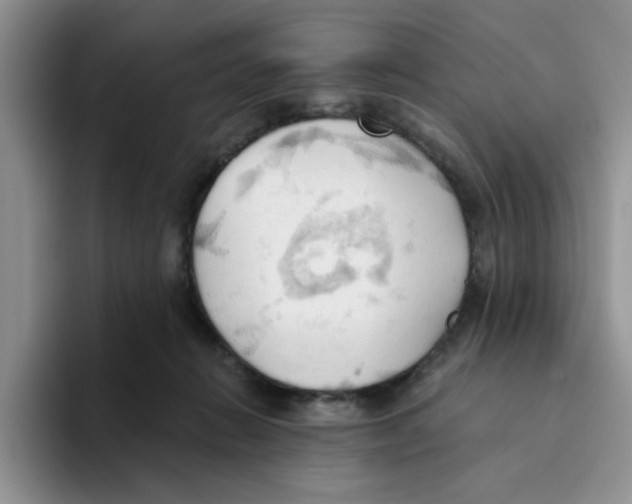 X0000093520270200711091745