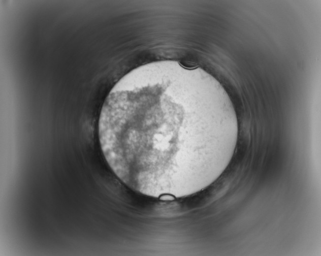 X0000093520271200711091745