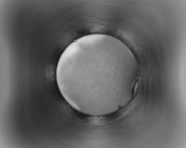 X0000093520273200711091745