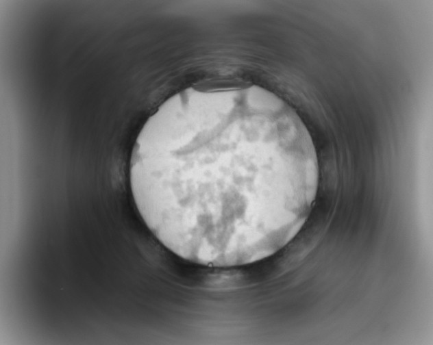 X0000093520274200711091745