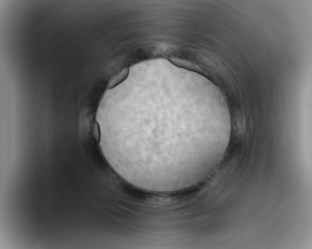 X0000093520276200711091745