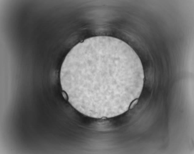 X0000093520278200711091745