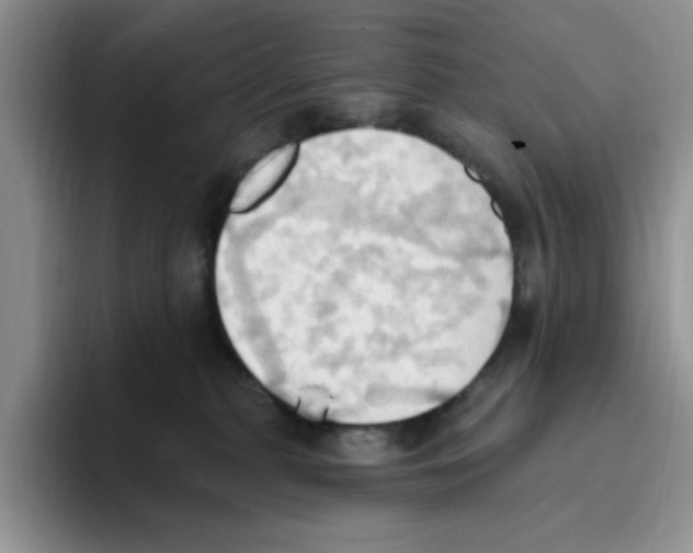 X0000093520279200711091745