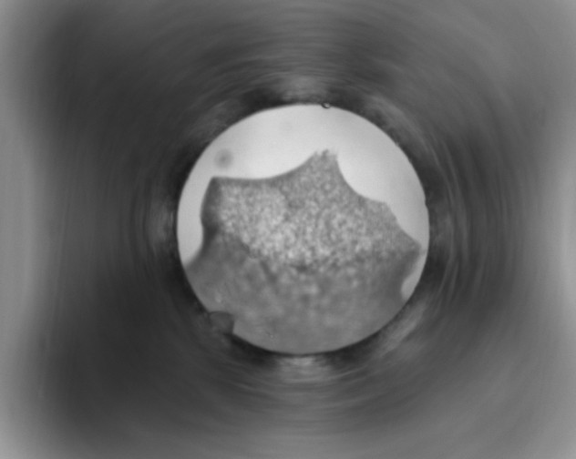 X0000093520281200711091745