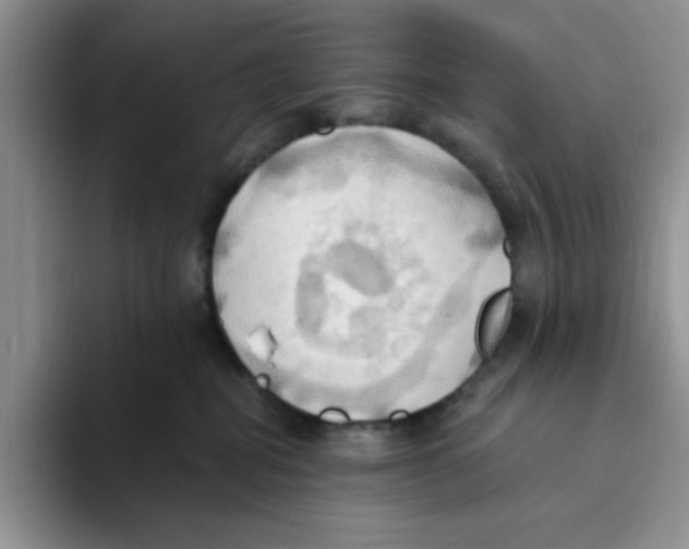 X0000093520282200711091745