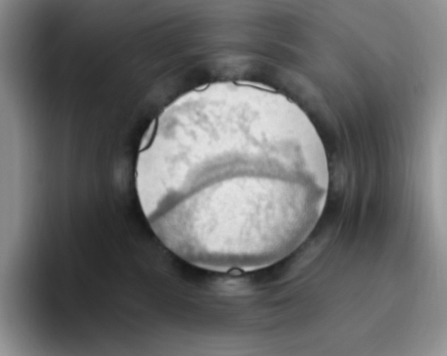 X0000093520283200711091745