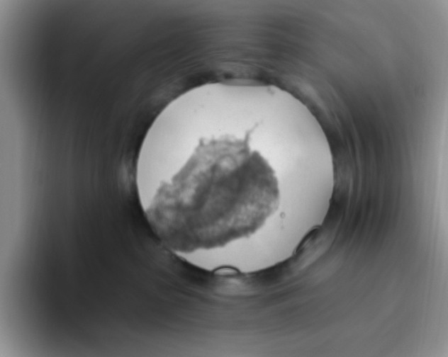 X0000093520285200711091745