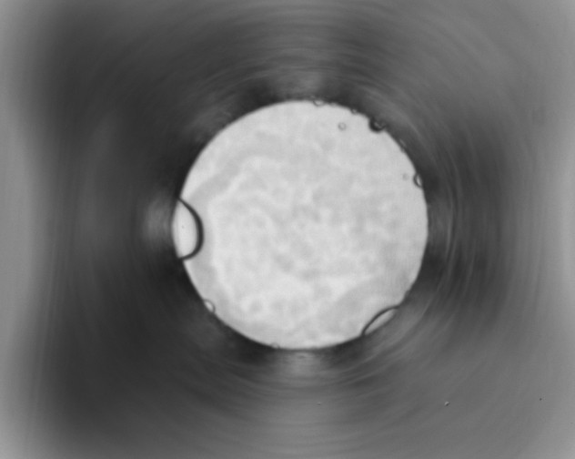 X0000093520287200711091745