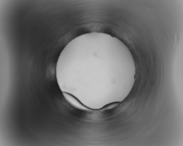 X0000093520288200711091745