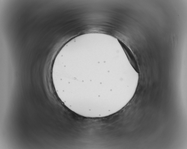 X0000093520289200711091744