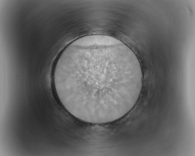 X0000093520290200711091744