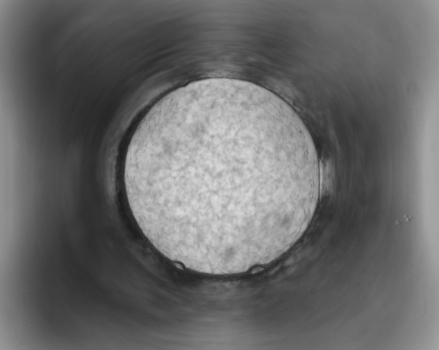 X0000093520291200711091744