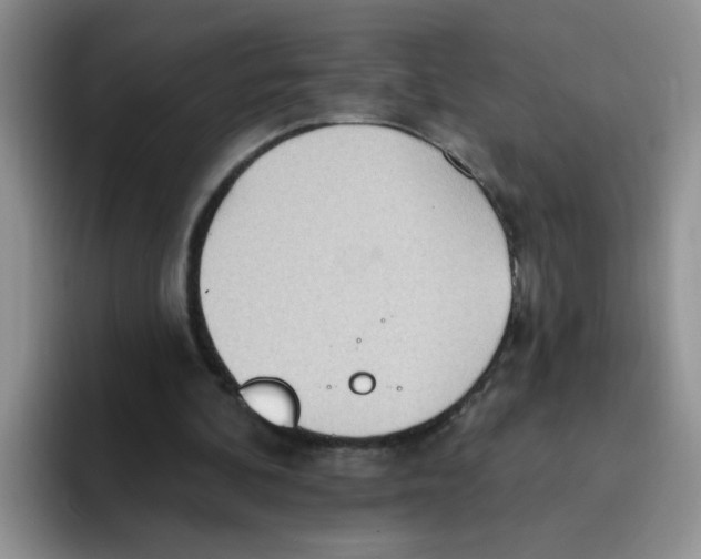 X0000093520292200711091744