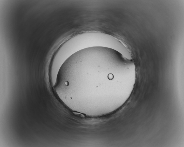 X0000093520293200711091744