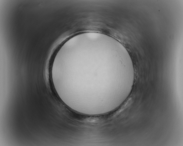 X0000093520294200711091744