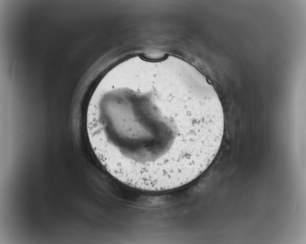 X0000093520295200711091744