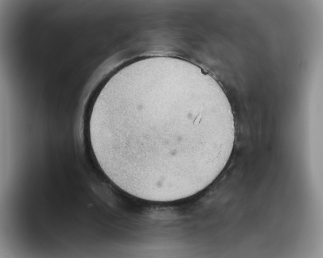 X0000093520296200711091744