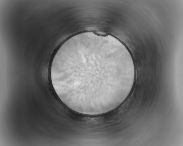 X0000093520297200711091744