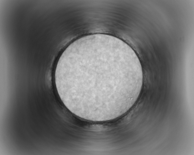 X0000093520298200711091744