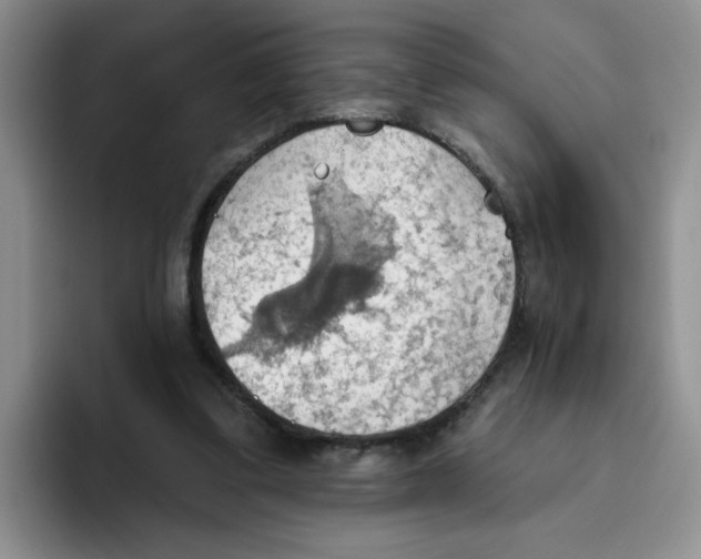 X0000093520299200711091744