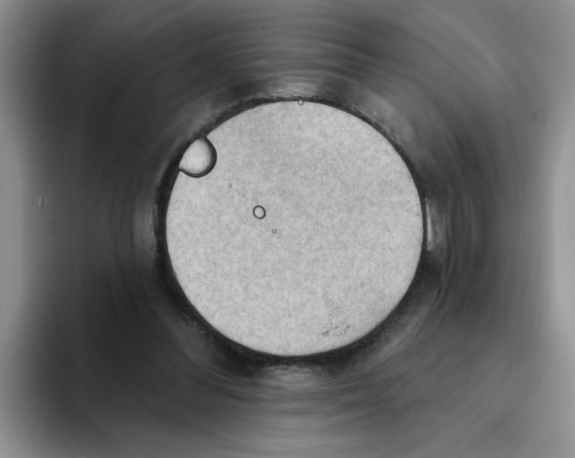 X0000093520300200711091744