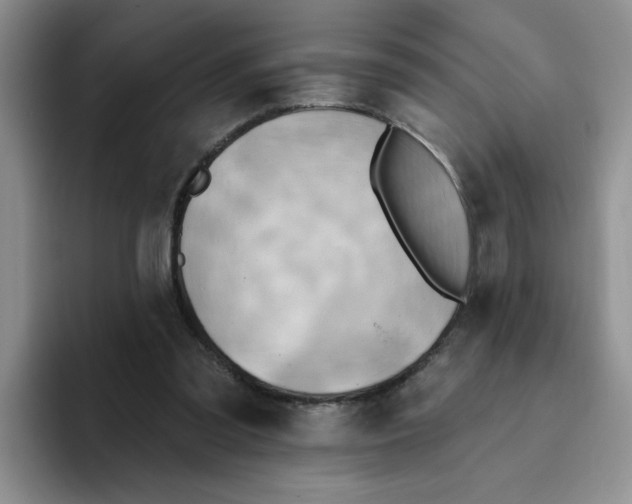 X0000093520301200711091744