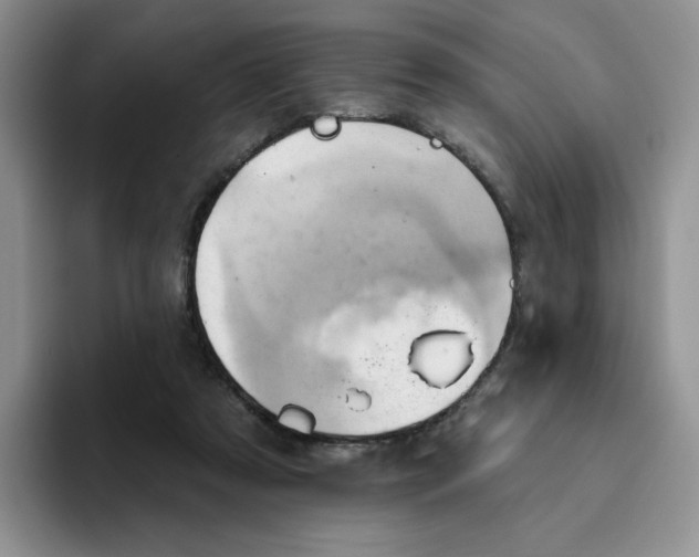 X0000093520305200711091744