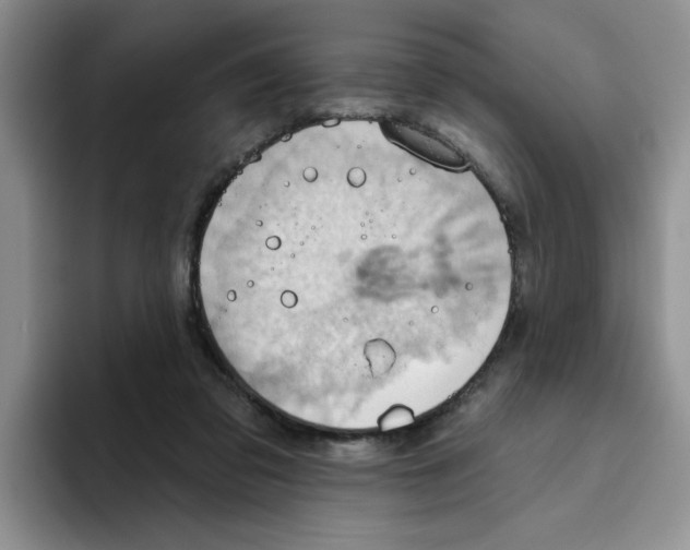 X0000093520309200711091744