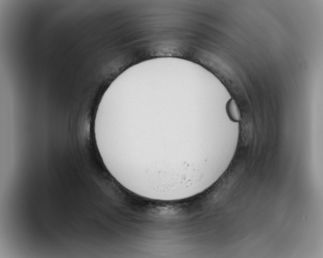 X0000093520310200711091744