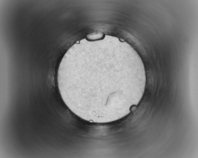 X0000093520313200711091744