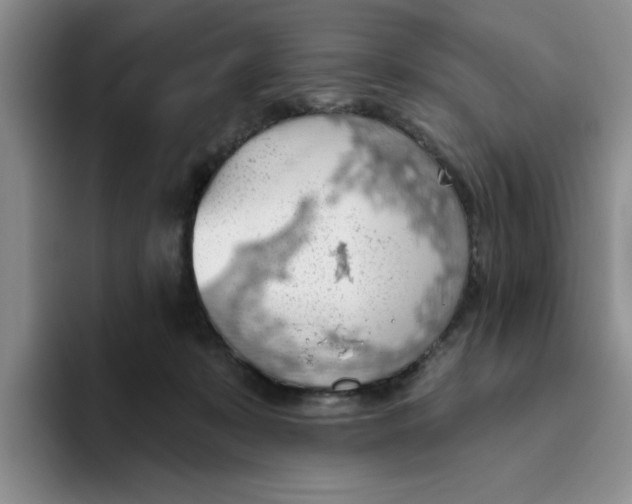 X0000093520319200711091744