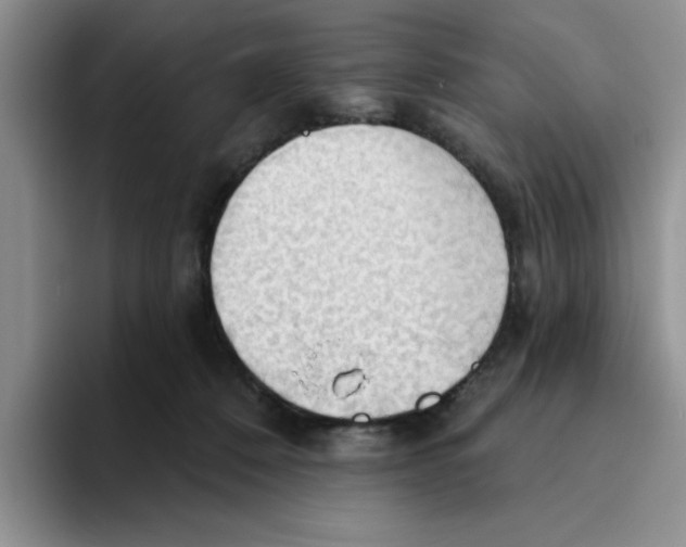 X0000093520320200711091744