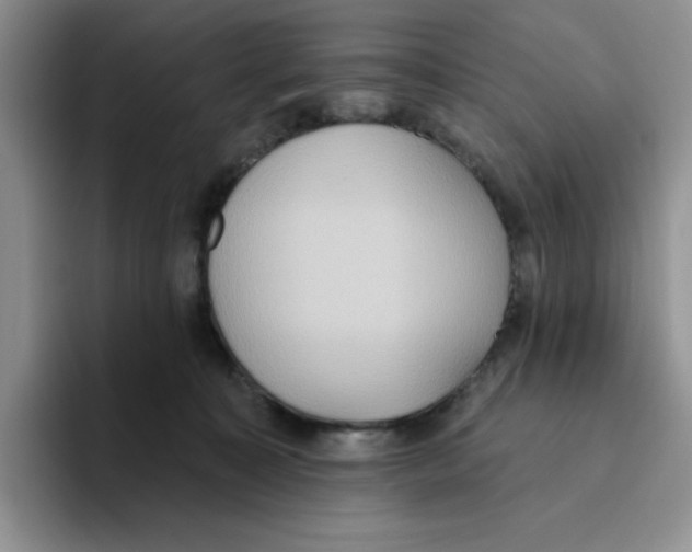 X0000093520323200711091744