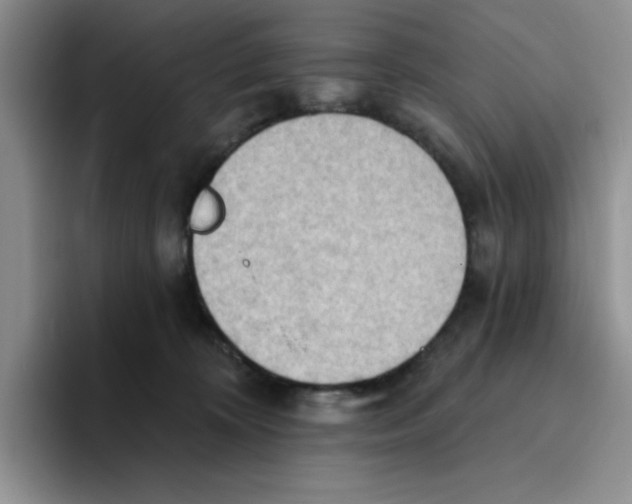 X0000093520324200711091744