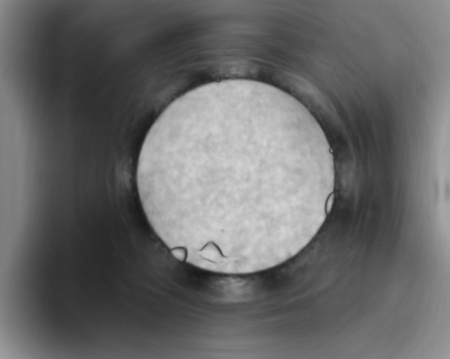 X0000093520326200711091744