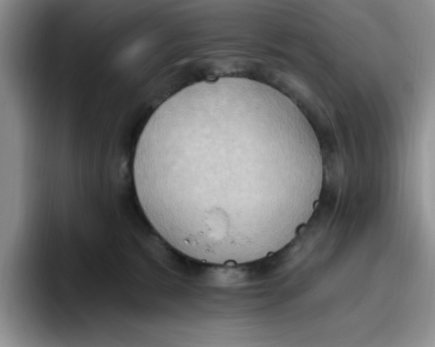 X0000093520327200711091744