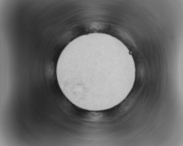 X0000093520328200711091744