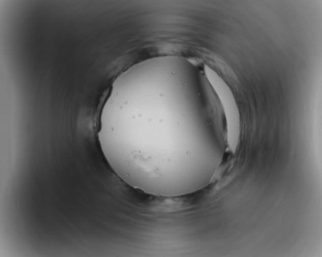 X0000093520329200711091744