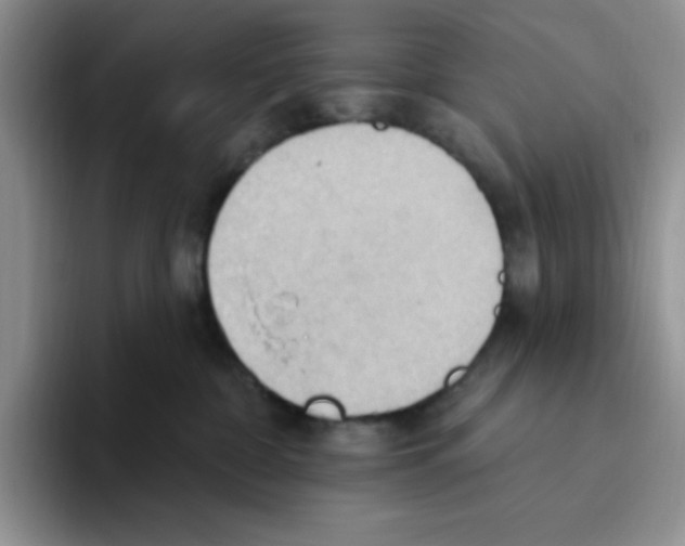 X0000093520332200711091744