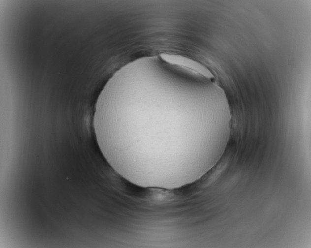 X0000093520333200711091744