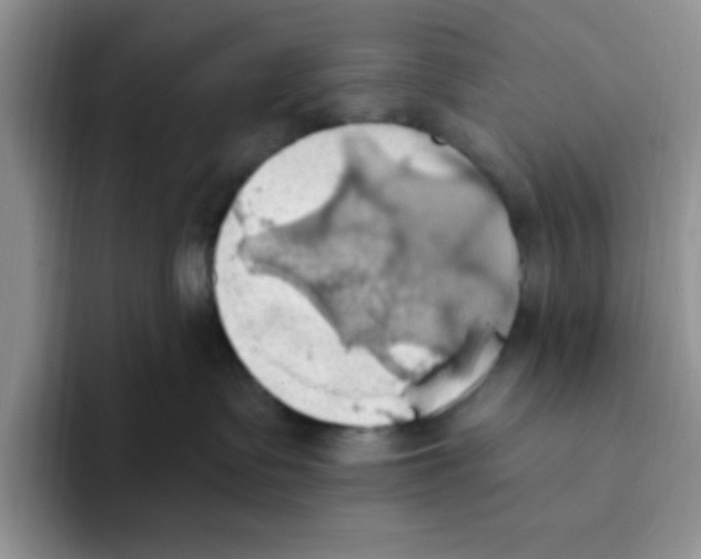 X0000093520335200711091744