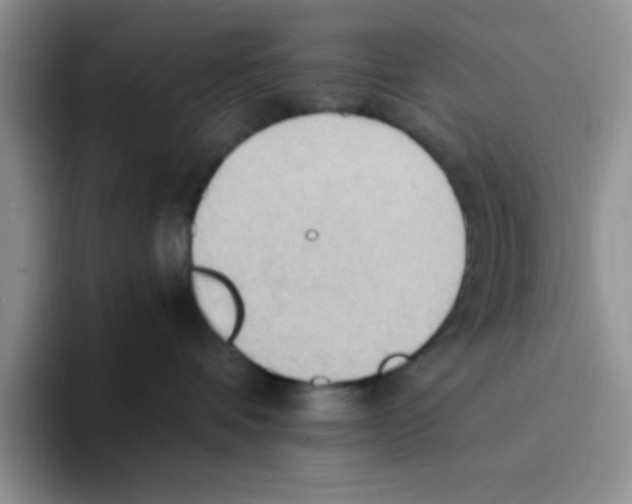 X0000093520336200711091744