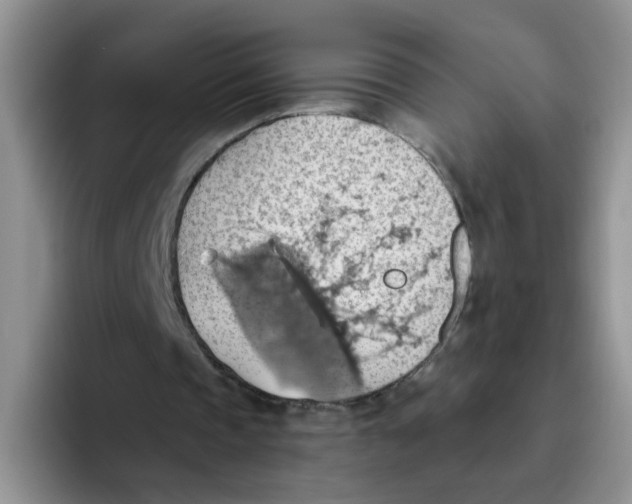 X0000093520337200711091743