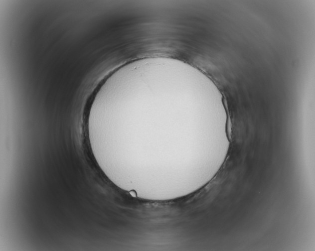 X0000093520338200711091743